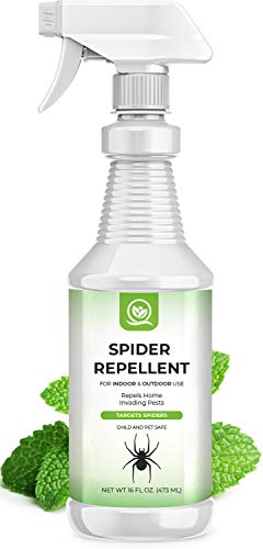 NATURAL OUST Peppermint Oil Spider Repellent Spray - Eco Friendly Indoor Outdoor - Effective Spider Control