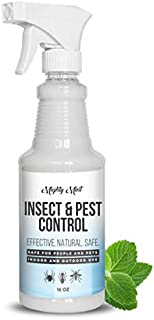 Mighty Mint - 16oz Insect and Pest Control Peppermint Oil - Natural Spray for Spiders, Ants, and More - Non Toxic