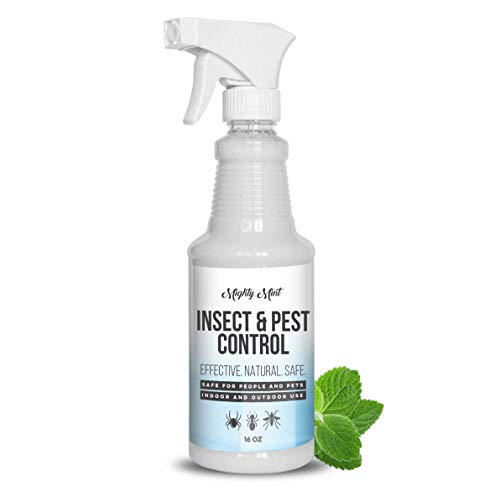 Mighty Mint - 16oz Insect and Pest Control Peppermint Oil - Natural Spray for Spiders, Ants, and More - Non Toxic