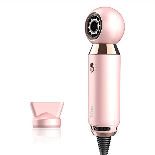 Hair Dryer, Yiiho 800W Lightweight Blow Dryer for Travel and Home,Compact Hairdryer with Concentrator(Pink)