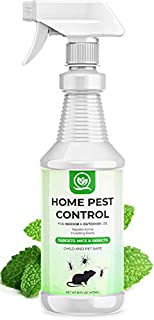 NATURAL OUST Peppermint Oil Mouse Repellent Spray - Roach Ant Spider Bug Insect Killer - Eco Friendly Pest Control to Repel Mice - Humane Repeller Alternative to Trap