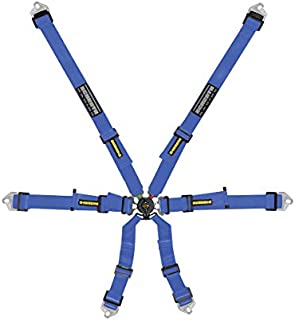 SCHROTH Flexi 6 Point Racing Harness - 2