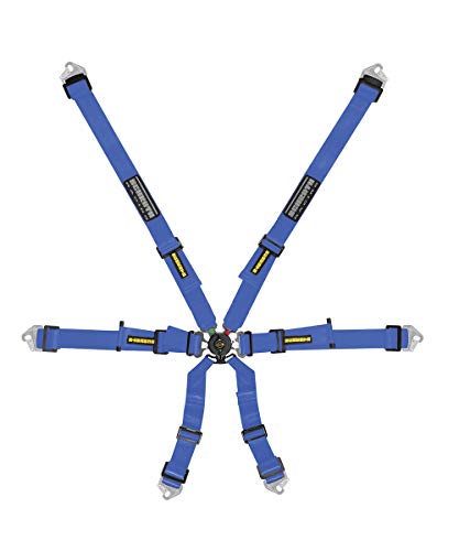 SCHROTH Flexi 6 Point Racing Harness - 2