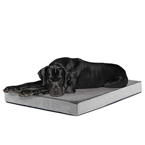 Barkbox Memory Foam Platform Dog Bed | Plush Mattress for Orthopedic Joint Relief (XX-Large, Grey)