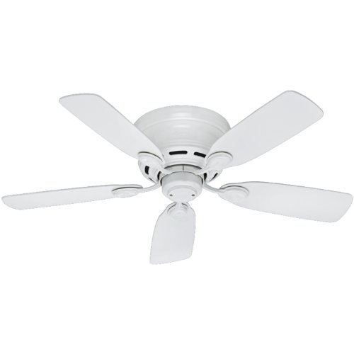 Hunter Fan Company 51059 Hunter Indoor Low Profile IV Ceiling Fan with Pull Chain Control, 42