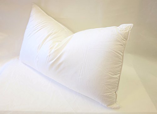 European 800 Fill Power White Goose Down Pillow. (King)