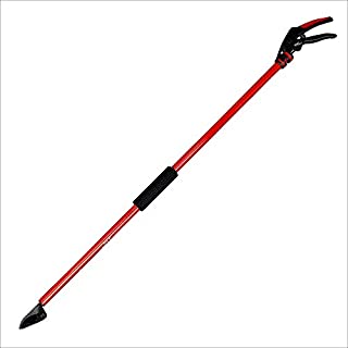 Corona LR 3460 Long Reach Cut'n' Hold Pruner, 46-Inch, Red