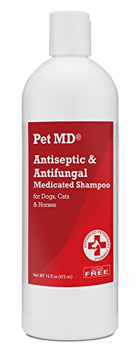 Pet MD - Medicated Shampoo for Dogs, Cats and Horses with Chlorhexidine and Ketoconazole - Soap and Paraben Free - 16 Oz