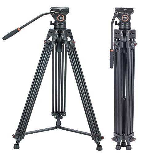 Video Tripod System, Cayer BV30L 72 inch- Professional Heavy Duty Aluminum Twin Tube Tripod, K3 Fluid Head, Mid-Level Spreader, Max Loading 13.2 LB, DSLR Camcorder, Plus 1 Bonus Quick Release Plate