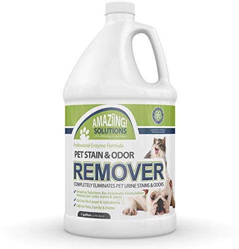 Amaziing Solutions Pet Odor Eliminator and Stain Remover Carpet Cleaner for Dog Urine and Cat Pee, Professional Strength Enzymatic Solution, Natural Enzymes for Carpet and Hardwood Floors (Gallon)