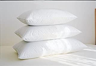 Warm Things Supremium Soft Hungarian Goose Down Pillow (Level 2) White/Queen