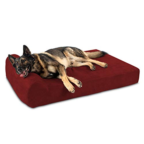 10 Best Orthopedic Dog Bed For Hip Dysplasia