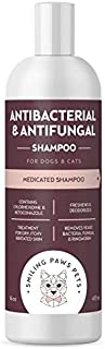 Antibacterial & Antifungal Shampoo For Dogs & Cats  Contains Ketoconazole & Chlorhexidine - Dog Skin Yeast Infection Treatment - Effective Against Ringworm, Pyoderma, Bacteria & Fungus. 16oz