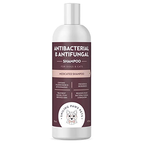 Antibacterial & Antifungal Shampoo For Dogs & Cats  Contains Ketoconazole & Chlorhexidine - Dog Skin Yeast Infection Treatment - Effective Against Ringworm, Pyoderma, Bacteria & Fungus. 16oz