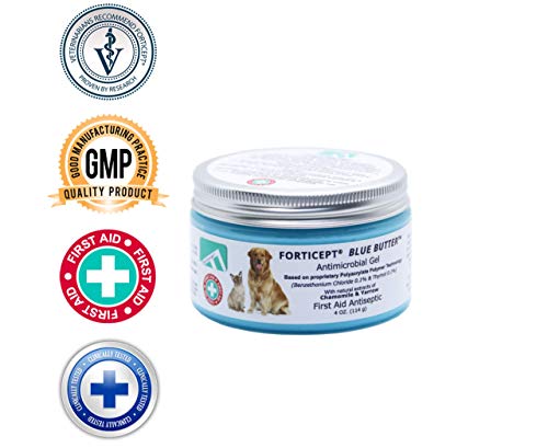 Forticept Blue Butter Antimicrobial Gel, Antiseptic Hydrogel Dogs Wound Care, Dogs & Cats for Skin Infections, Rashes, Sores, Wounds, Burns | 4 OZ