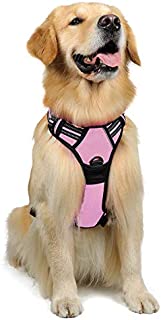 rabbitgoo Dog Harness,No-Pull Pet Harness with 2 Leash Clips, Adjustable Soft Padded Dog Vest, Reflective No-Choke Pet Oxford Vest with Easy Control Handle for Large Dogs, Pink, L