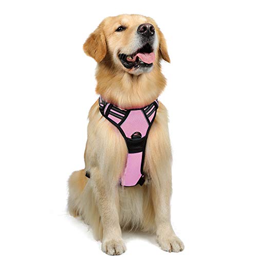 rabbitgoo Dog Harness,No-Pull Pet Harness with 2 Leash Clips, Adjustable Soft Padded Dog Vest, Reflective No-Choke Pet Oxford Vest with Easy Control Handle for Large Dogs, Pink, L