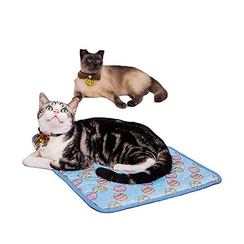 9 Best Cat Bed For Summer