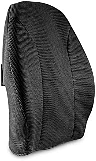 The White Willow Orthopedic Sit Right Hard Grade Foam Lumbar Backrest for Back Support, Office Chair, Car Seat,Spine Alignment with Adjustable Strap - Black Mesh Fabric