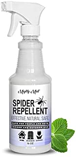 Mighty Mint - 16oz Spider Repellent Peppermint Oil - Natural Spray for Spiders, Insects and More - Non Toxic