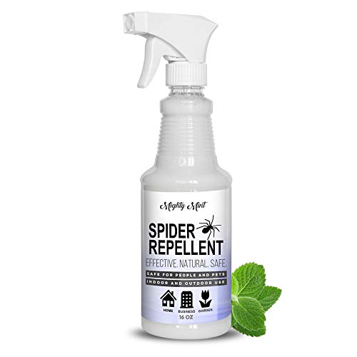 Mighty Mint - 16oz Spider Repellent Peppermint Oil - Natural Spray for Spiders, Insects and More - Non Toxic