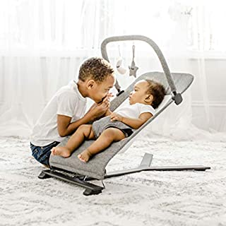 Baby Delight Go With Me Alpine Deluxe Portable Bouncer, Charcoal Tweed