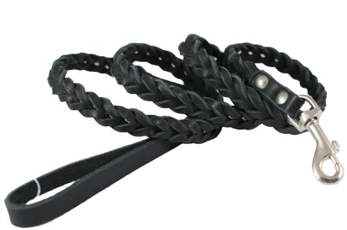 9 Best Braided Leather Dog Leash