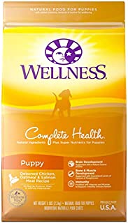 Wellness Natural Pet Food Complete Health Natural Dry Puppy Food, Chicken, Salmon & Oatmeal, 5-Pound Bag