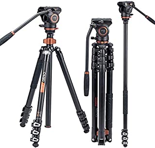 Cayer AF2451 Fluid Head Video Tripod, Professional Camera 67 inches Tripod Leg with Fluid Drag Head, 4-Section Compact Aluminimum Tripod Convertible to Monopod for DSLR Camera, Video Camcorder