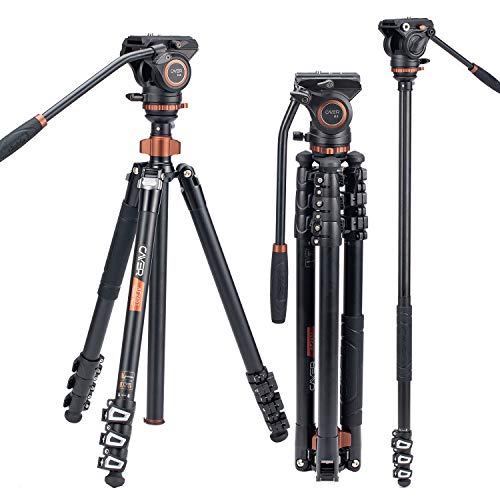 Cayer AF2451 Fluid Head Video Tripod, Professional Camera 67 inches Tripod Leg with Fluid Drag Head, 4-Section Compact Aluminimum Tripod Convertible to Monopod for DSLR Camera, Video Camcorder