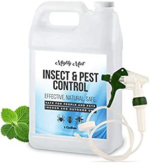 Mighty Mint Gallon (128 oz) Insect and Pest Control Peppermint Oil - Natural Spray for Spiders, Ants, and More - Non Toxic