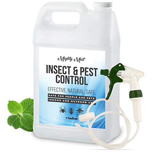 Mighty Mint Gallon (128 oz) Insect and Pest Control Peppermint Oil - Natural Spray for Spiders, Ants, and More - Non Toxic