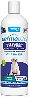 VETNIQUE LABS Dermabliss Anti-Bacterial & Antifungal Medicated Dog Shampoo Ketoconazole Shampoo for Dogs & Cats for The Treatment of Hot Spot, Yeast Infection and Skin Allergies 16 Fl Oz