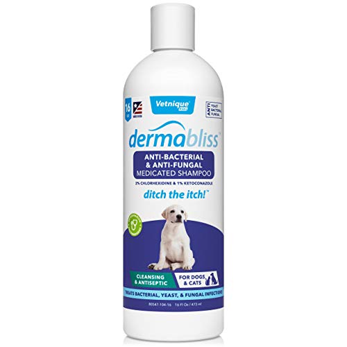 VETNIQUE LABS Dermabliss Anti-Bacterial & Antifungal Medicated Dog Shampoo Ketoconazole Shampoo for Dogs & Cats for The Treatment of Hot Spot, Yeast Infection and Skin Allergies 16 Fl Oz
