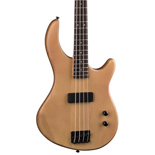 9 Best Electric Bass Guitar Under 300