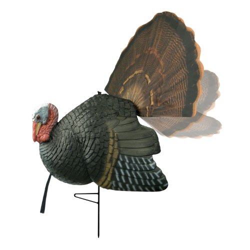 10 Best Turkey Hunting Decoys