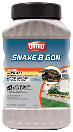 9 Best Snake Repellent Florida