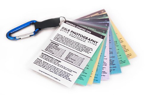 Canon DSLR Cheat Sheets Tip Cards for 80D 77D 70D EOS Rebel T7i T7 T6i T6 SL2 SL1 T5 T4 T3 60D 50D M10 M6 M5 M3 M50 M100 7D Mk II 6D 5D Mk IV III 5DS 1D X Digital Photography Camera How To Guide