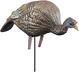 Higdon Outdoors Feeding Hen Turkey Decoy for Turkey Hunting | Feeder Hen Attracts Toms, Gobblers & Jakes