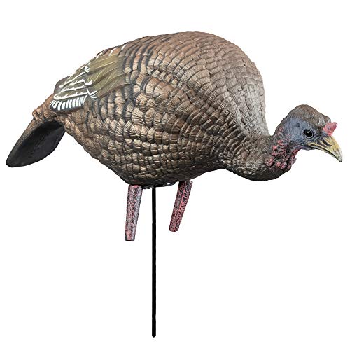 Higdon Outdoors Feeding Hen Turkey Decoy for Turkey Hunting | Feeder Hen Attracts Toms, Gobblers & Jakes