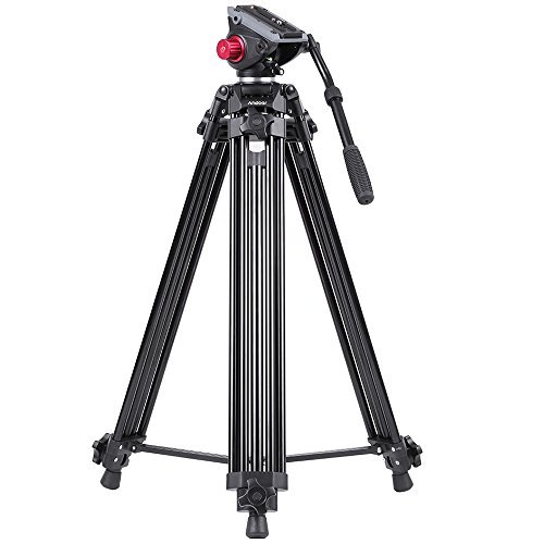 10 Best Tripods For Video