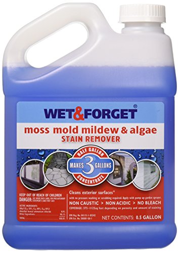 10 Best Mold Removal Products For Wood