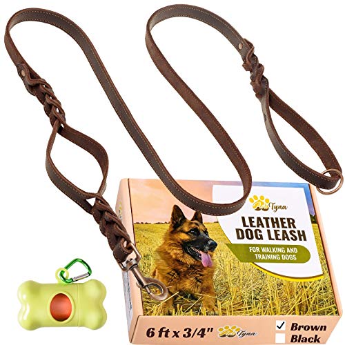 Leather Dog Leash 6 ft x 3/4