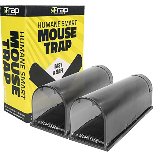 iTrap Humane Live Catch & Release Smart Mouse Trap Safe Around Pets Children, Set of 2