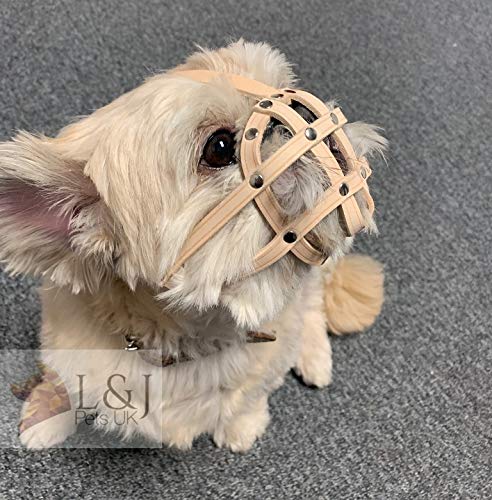 L&J Pets Uk Leather Dog Muzzle for Shih Tzu and other flat face short snout dog's (M2, Natural)