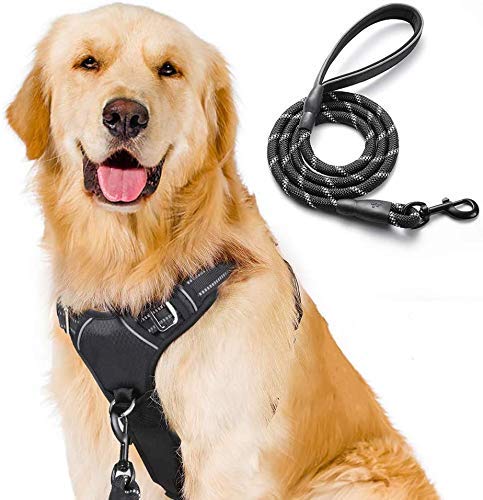 rabbitgoo No-Pull Dog Harness Leash Set Heavy Duty Halter Harness with Leash for Large Dogs Reflective Adjustable Pet Vest Harness Outdoor Training Leash, Large, Black