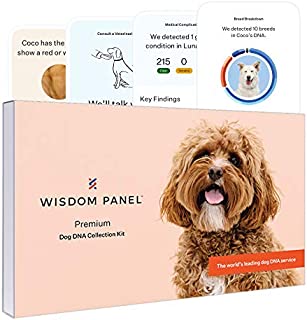 Wisdom Panel Premium, New and Improved Dog DNA Test for Comprehensive Health, Traits and Ancestry