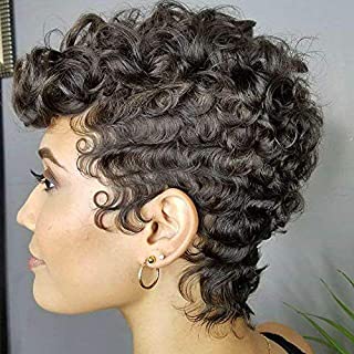 Naseily Afro Curly Synthetic Wigs For Black Women Short Curly Wigs For Black Women African American Short Wigs