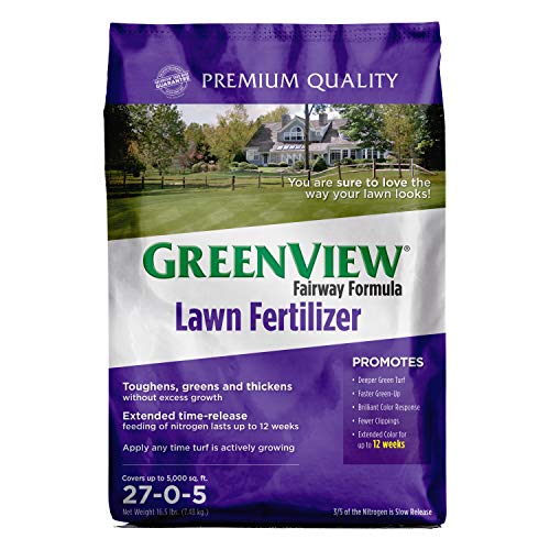 10 Best Nitrogen Lawn Fertilizers