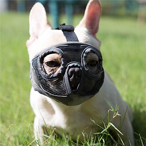 JYHY Short Snout Dog Muzzles- Adjustable Breathable Mesh Bulldog Muzzle for Biting Chewing Barking Training Dog Mask,Grey (Eyehole) S